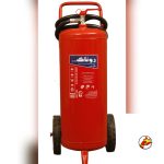 کپسول 50kg پودری روناک