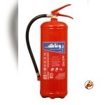 کپسول 6kg پودری روناک