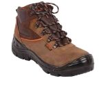 پوتین ایمن مارکو پاتن